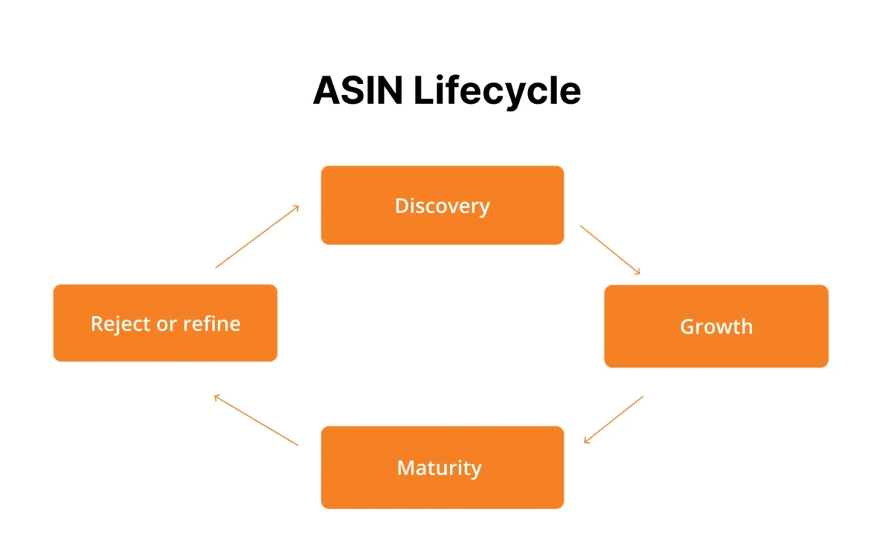 Image showing an ASIN lifecycle